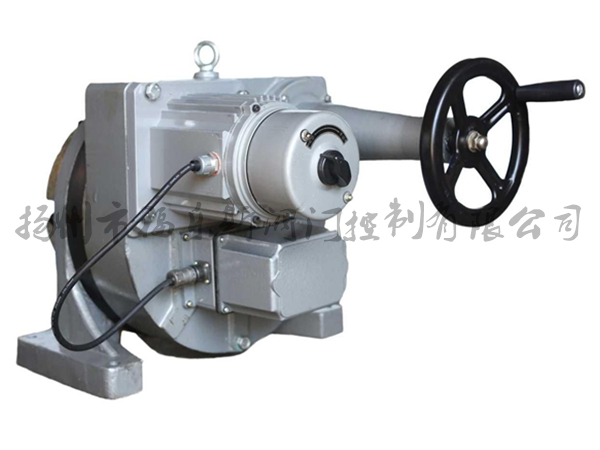 DKJ電動執(zhí)行機構